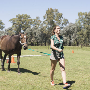 Coaching Con Caballos - Nadine Bell