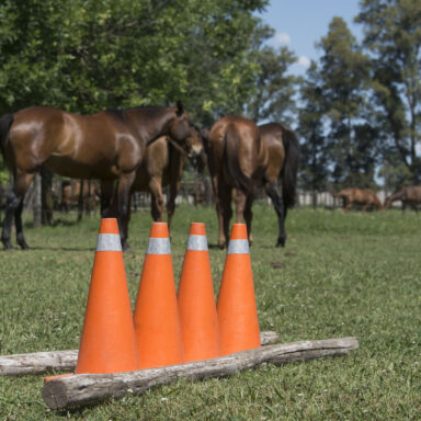 Coaching Nadine Bell - Imagen