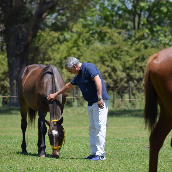 Coaching Nadine Bell - Imagen
