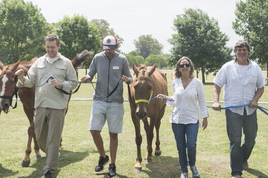 Coaching con Caballos Para Empresas con Nadine Bell