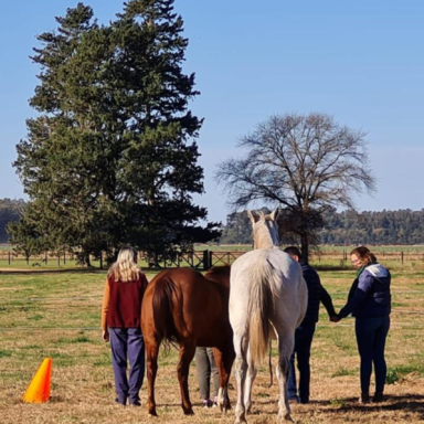 Coaching Nadine Bell - Imagen