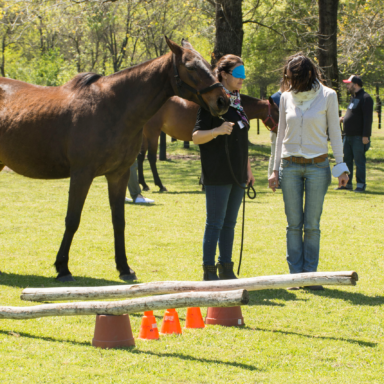 Coaching Nadine Bell - Imagen