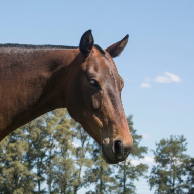 Coaching Nadine Bell - Imagen