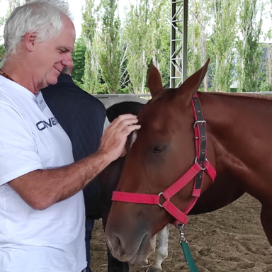 Coaching Nadine Bell - Imagen