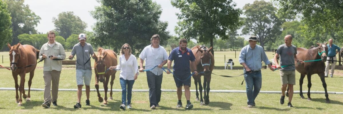 Coaching Empresarial con Nadine Bell