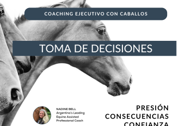 Lanzamiento programa toma de decisiones